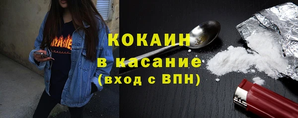 прущие грибы Кущёвская