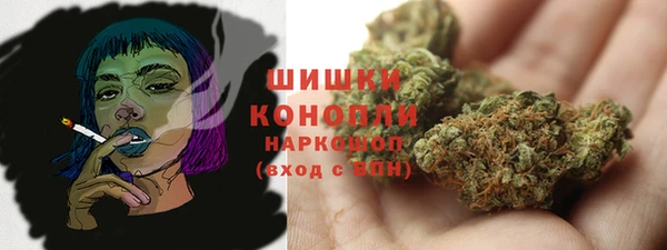 прущие грибы Кущёвская