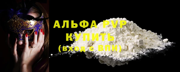 прущие грибы Кущёвская