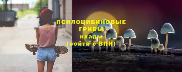 тгк Александровское