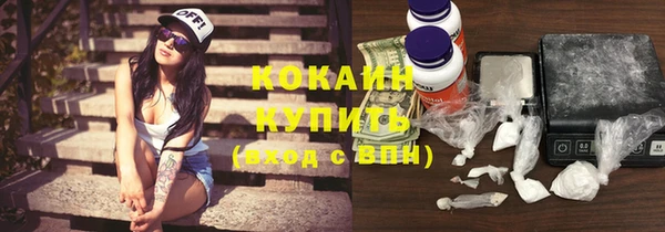 прущие грибы Кущёвская