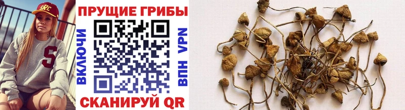 Псилоцибиновые грибы Magic Shrooms Волгоград